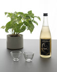 Sake Cup Glass Twist Ginjo | Tortoise General Store
