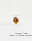 Japanese Walnut with Botanical Essence: Harmony