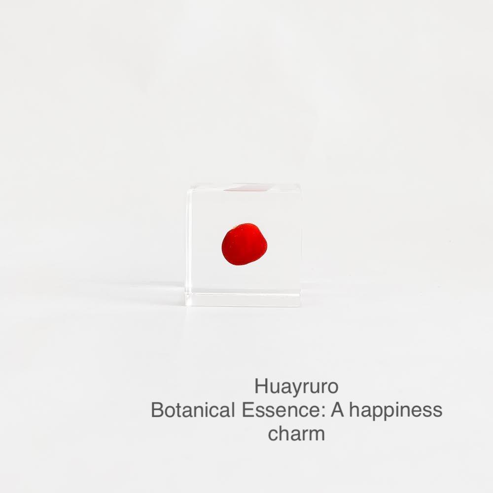 Huayruro with Botanical Essence: A Happiness Charm