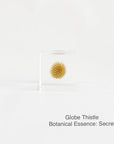 Globe Thistle with Botanical Essence: Secret