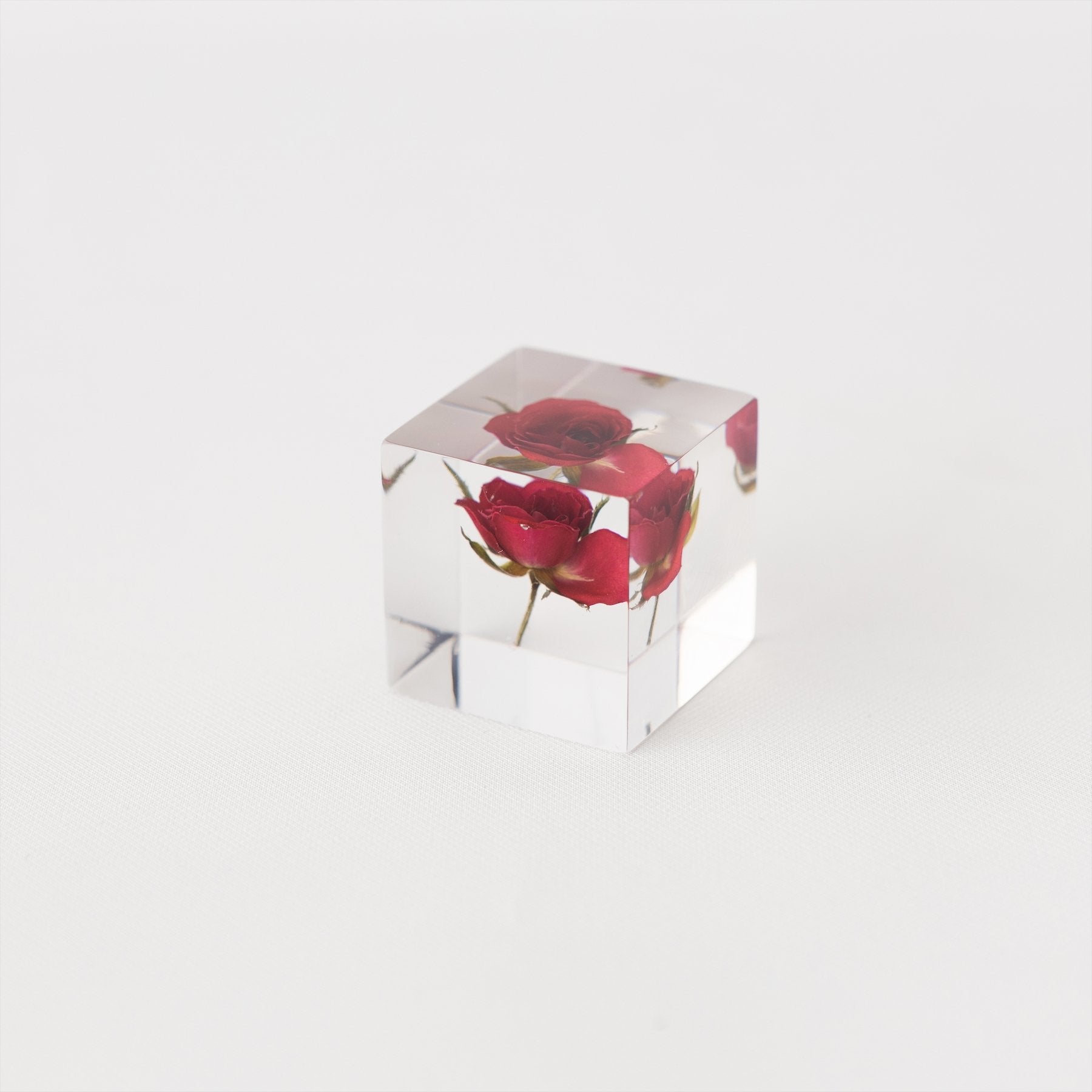 http://shop.tortoisegeneralstore.com/cdn/shop/products/sola-cubes-rose-limited-edition-389121.jpg?v=1639201306