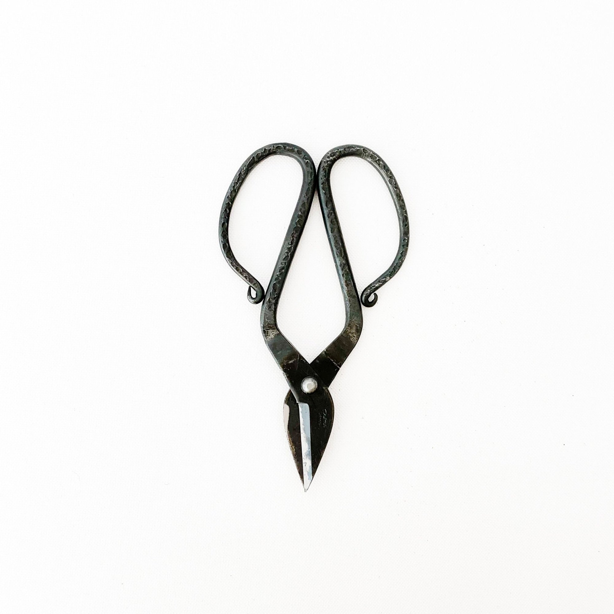 Tajika Branch Scissors - tortoise general store
