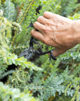 Tajika Garden Scissors | Tortoise General Store