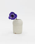 Tomoro Mushroom Vase | Tortoise General Store