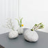 Feeling Optimistic - Tortoise Welcomes Spring 2021! - tortoise general store
