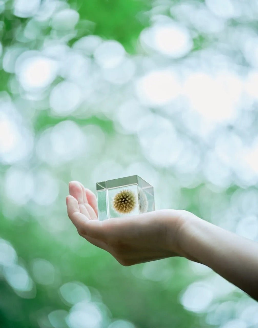 How They're Made: Sola Cubes by Usagi No Nedoko - tortoise general store
