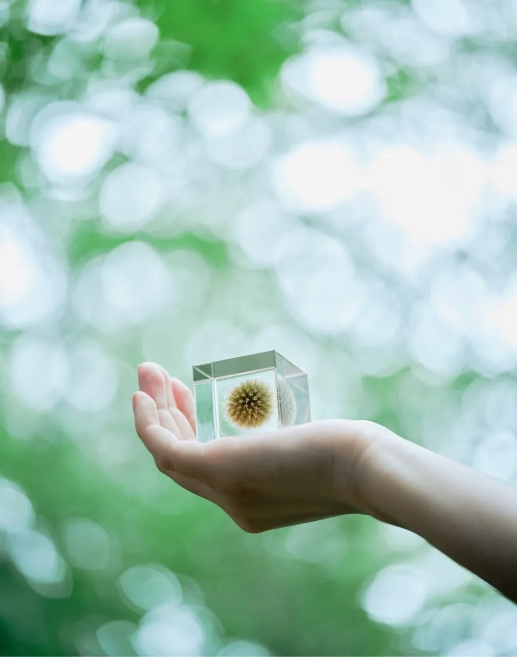 How They're Made: Sola Cubes by Usagi No Nedoko