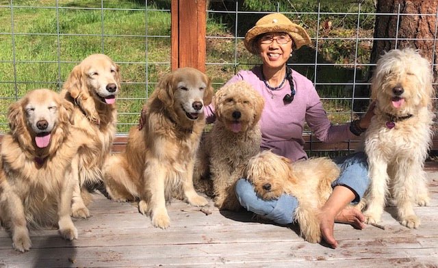 MARCH / Good Company with Sanae Suzuki: Interview with the Author of 'Healthy Happy Pooch - Wisdom and Homemade Recipes to Give Your Dog a Healthy, Happy Life' - tortoise general store