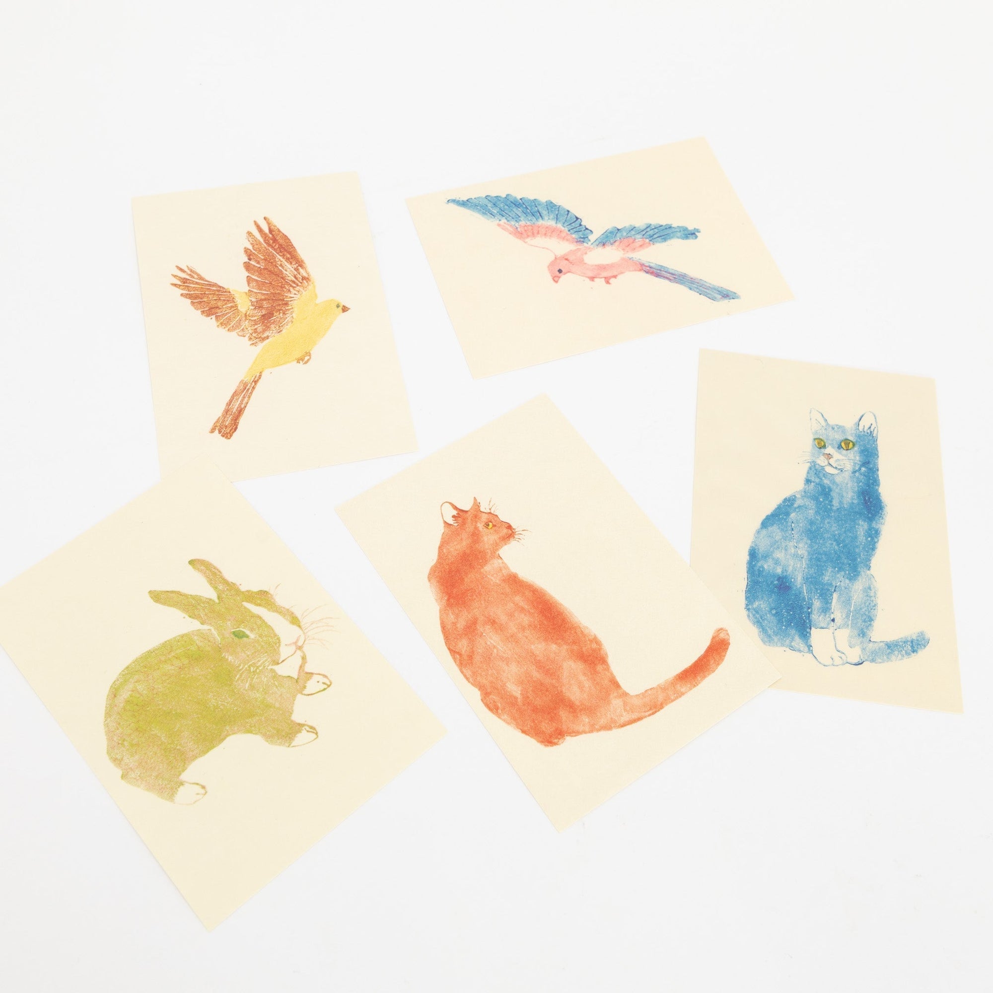 Cards - tortoise general store