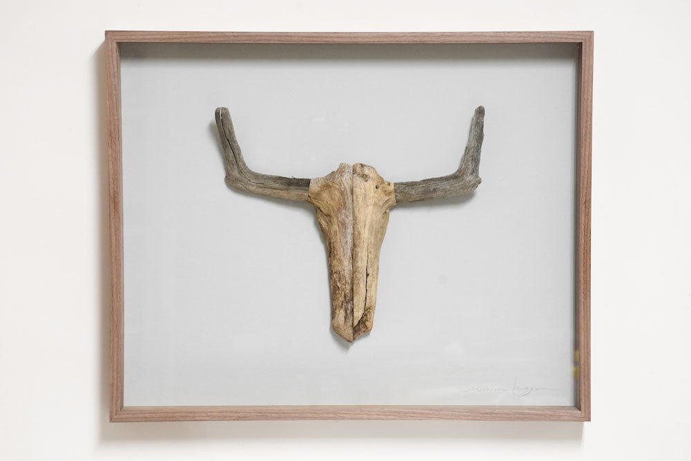 #15 - Driftwood Hunting Trophy #1 (All Around You, 2024) by Mitsuru Koga | Tortoise General Store