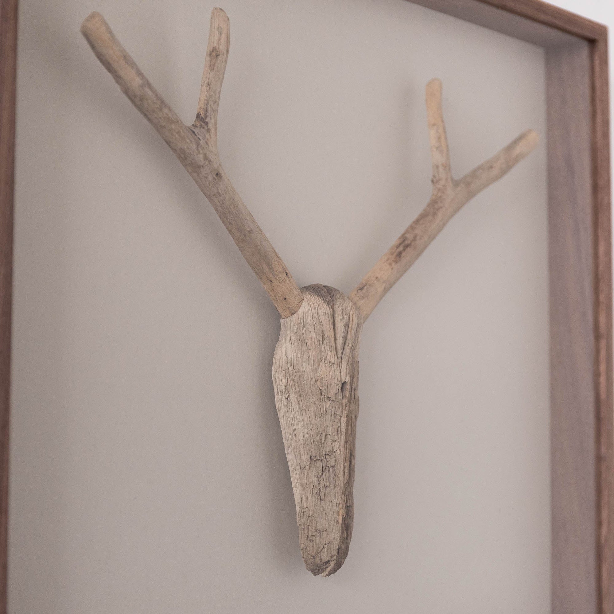 #16 - Driftwood Hunting Trophy #2 (All Around You, 2024) by Mitsuru Koga | Tortoise General Store