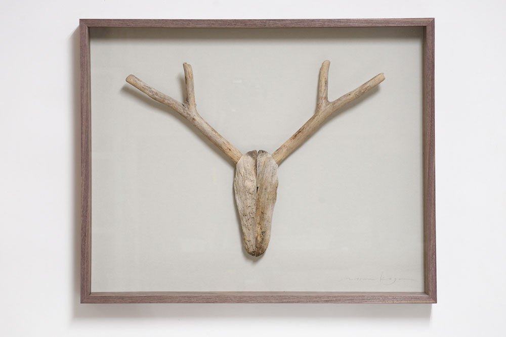 #16 - Driftwood Hunting Trophy #2 (All Around You, 2024) by Mitsuru Koga | Tortoise General Store