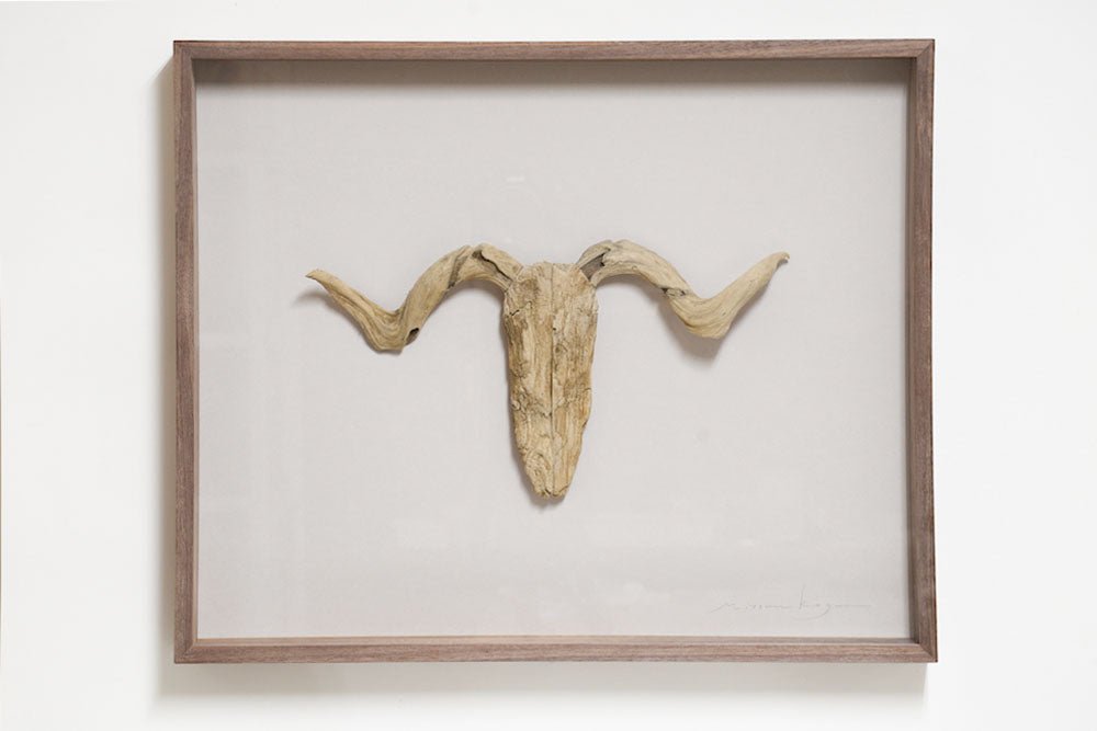 #17 - Driftwood Hunting Trophy #3 (All Around You, 2024) by Mitsuru Koga | Tortoise General Store