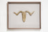 #17 - Driftwood Hunting Trophy #3 (All Around You, 2024) by Mitsuru Koga | Tortoise General Store