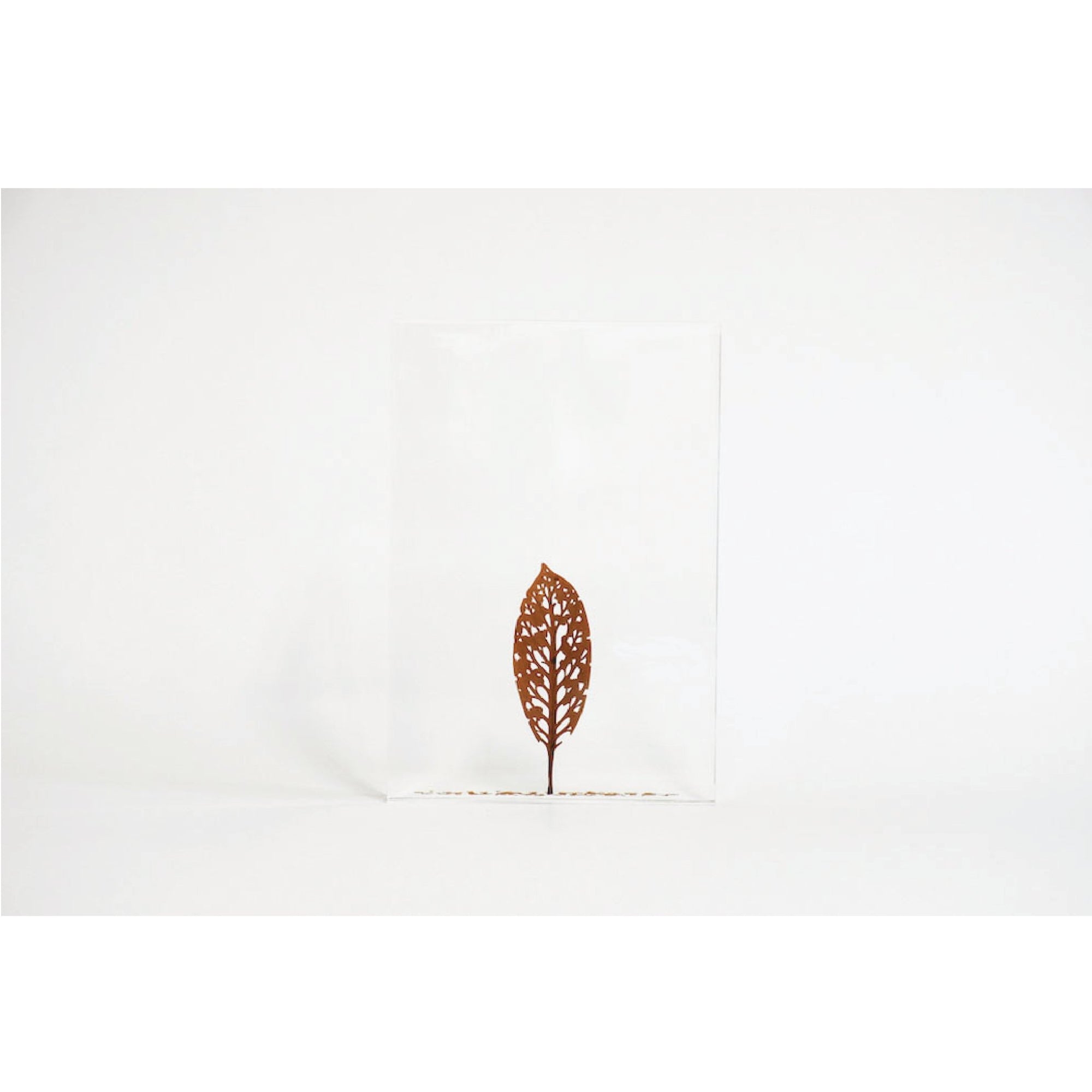 #58 - Fallen Leaves #2 (All Around You, 2024) by Mitsuru Koga | Tortoise General Store