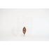 #60 - Fallen Leaves #4 (All Around You, 2024) by Mitsuru Koga | Tortoise General Store