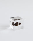 Sola Cubes - Seeds & Plants