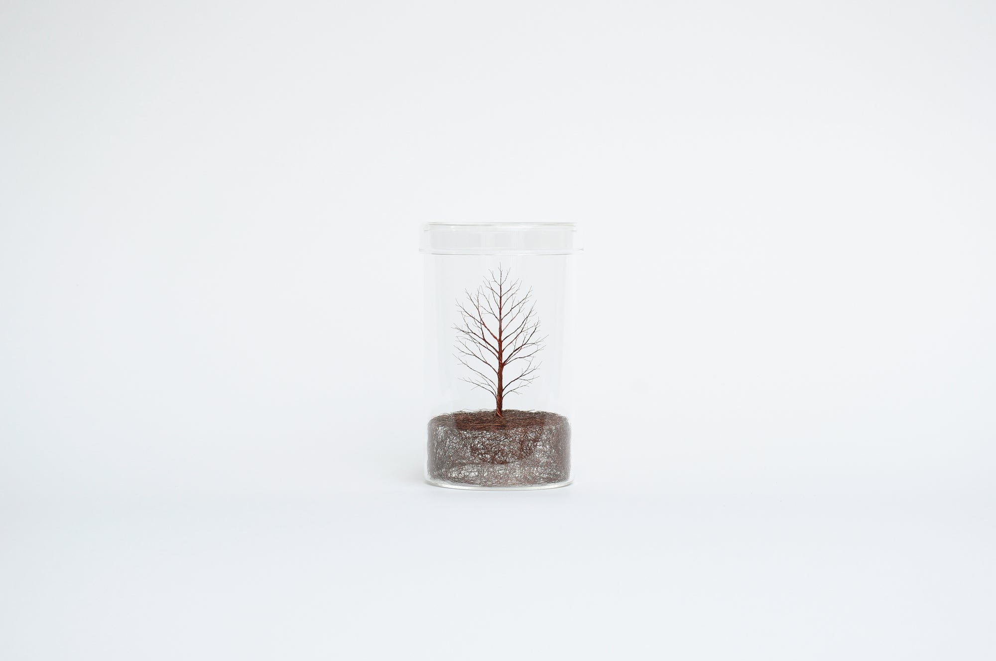 Mitsuru Koga Copper Wire Trees