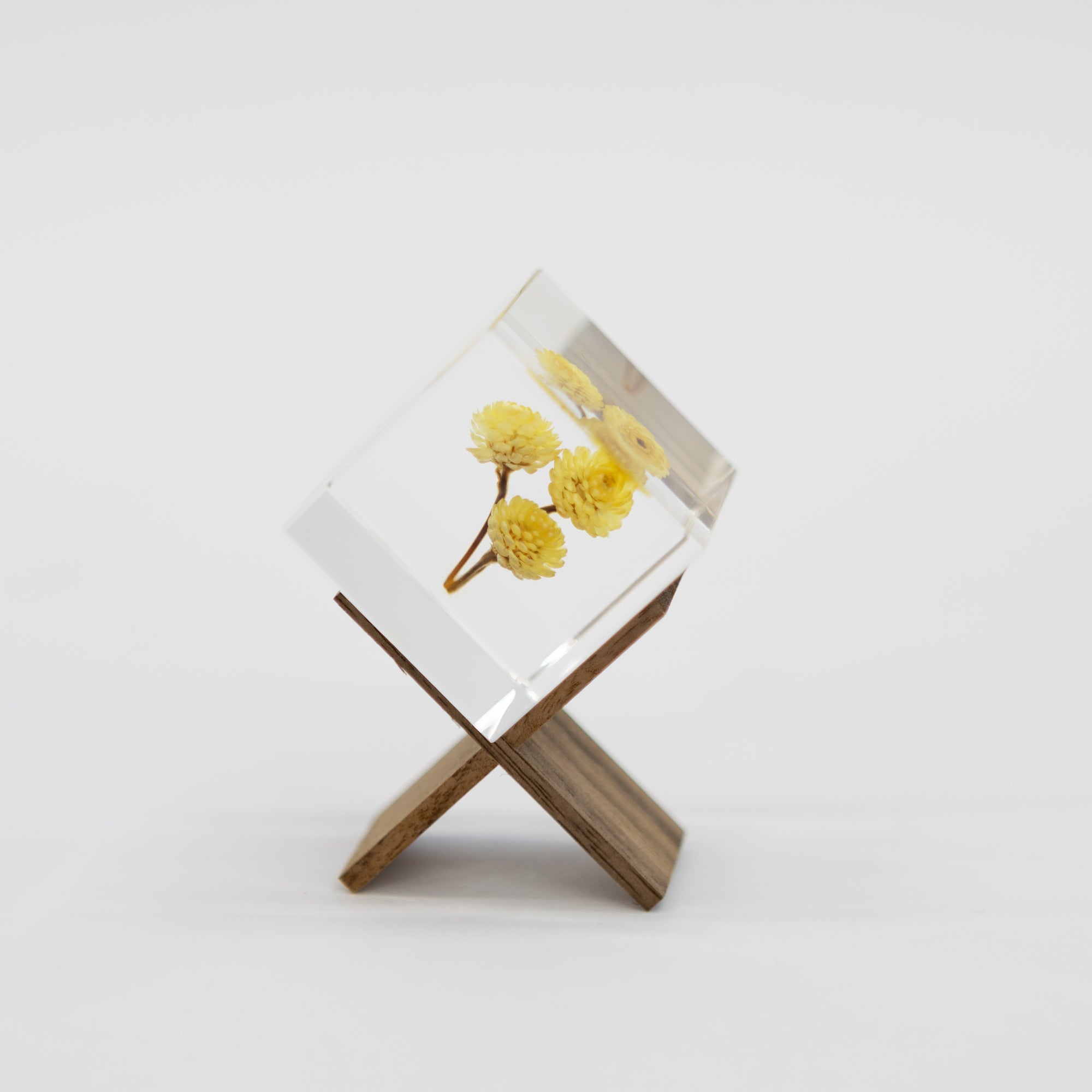 Sola Cube Walnut Stand | tortoise general store