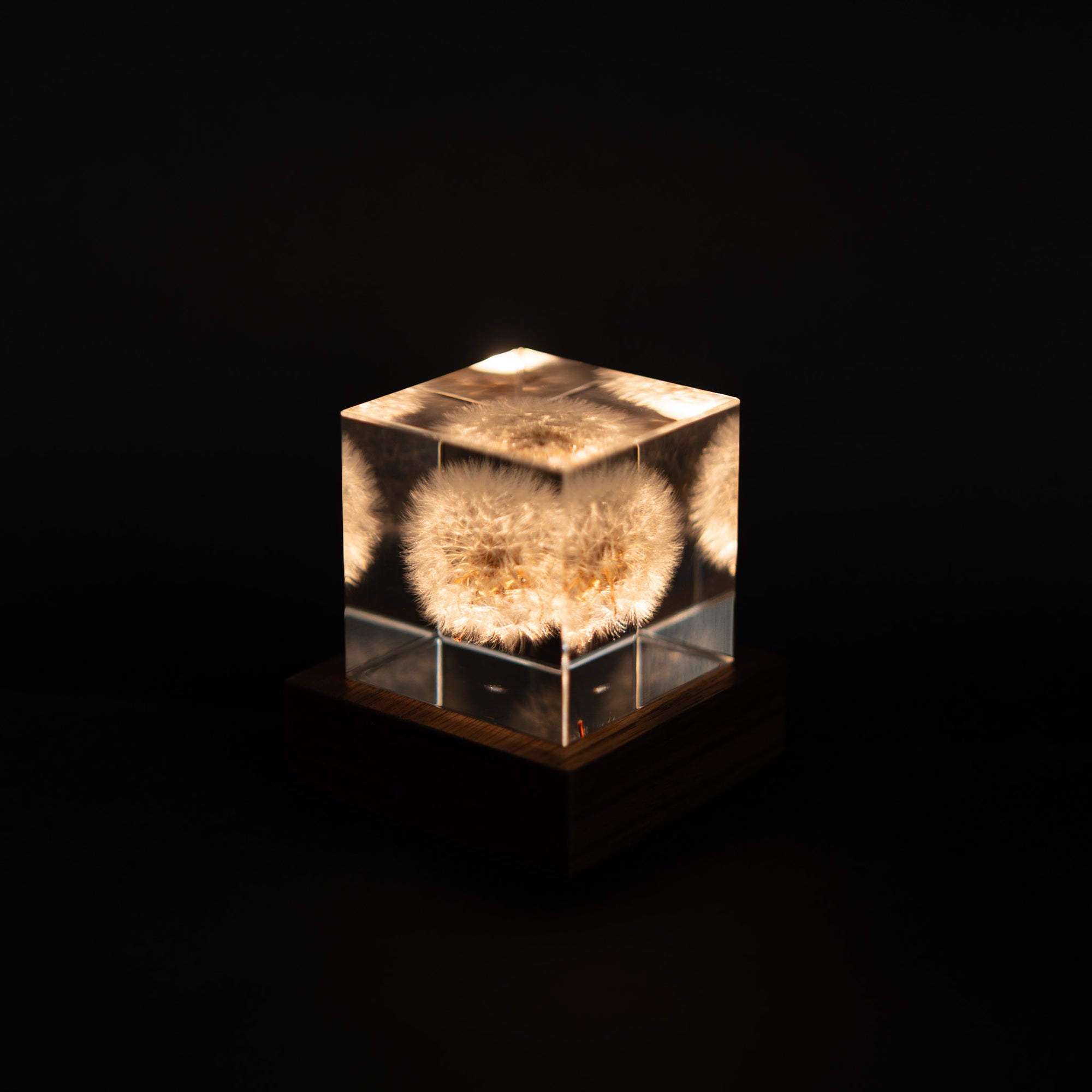 Sola Cube Walnut Light Base | Tortoise General Store
