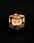 Sola Cube Walnut Light Base | Tortoise General Store