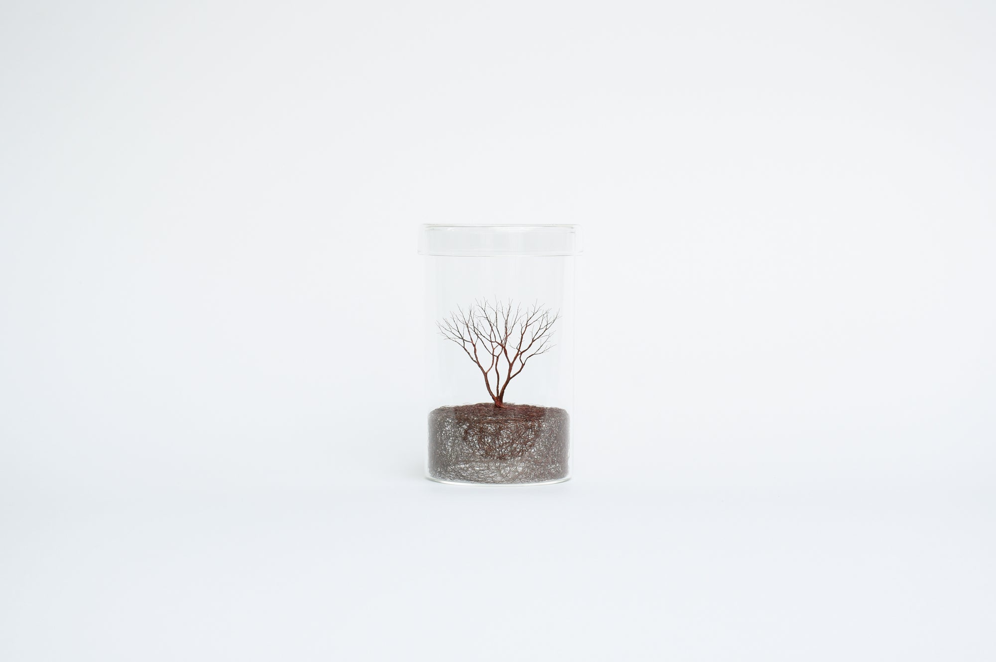 Mitsuru Koga Copper Wire Trees