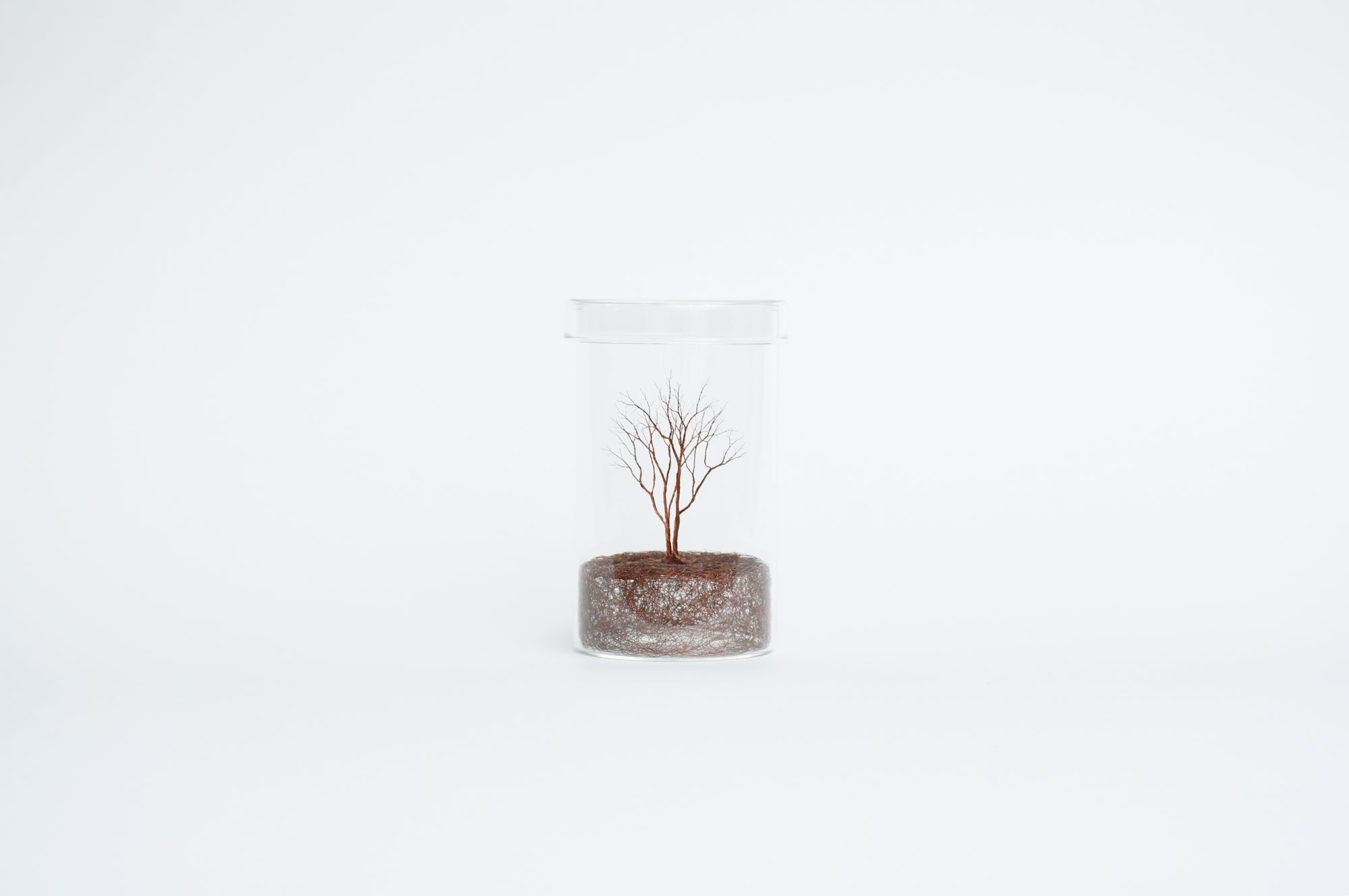 Mitsuru Koga Copper Wire Trees