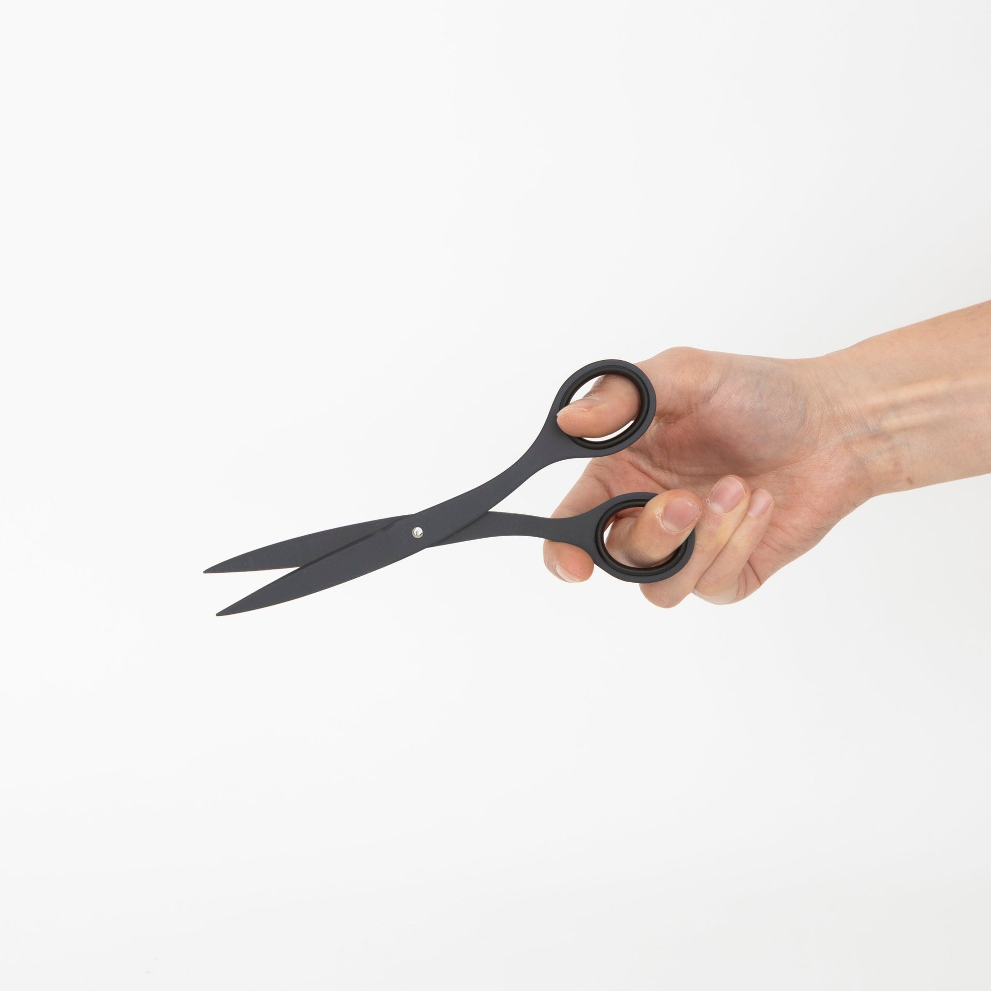 ALLEX Scissors | Tortoise General Store