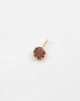 Black Barc 'A Star Charm 