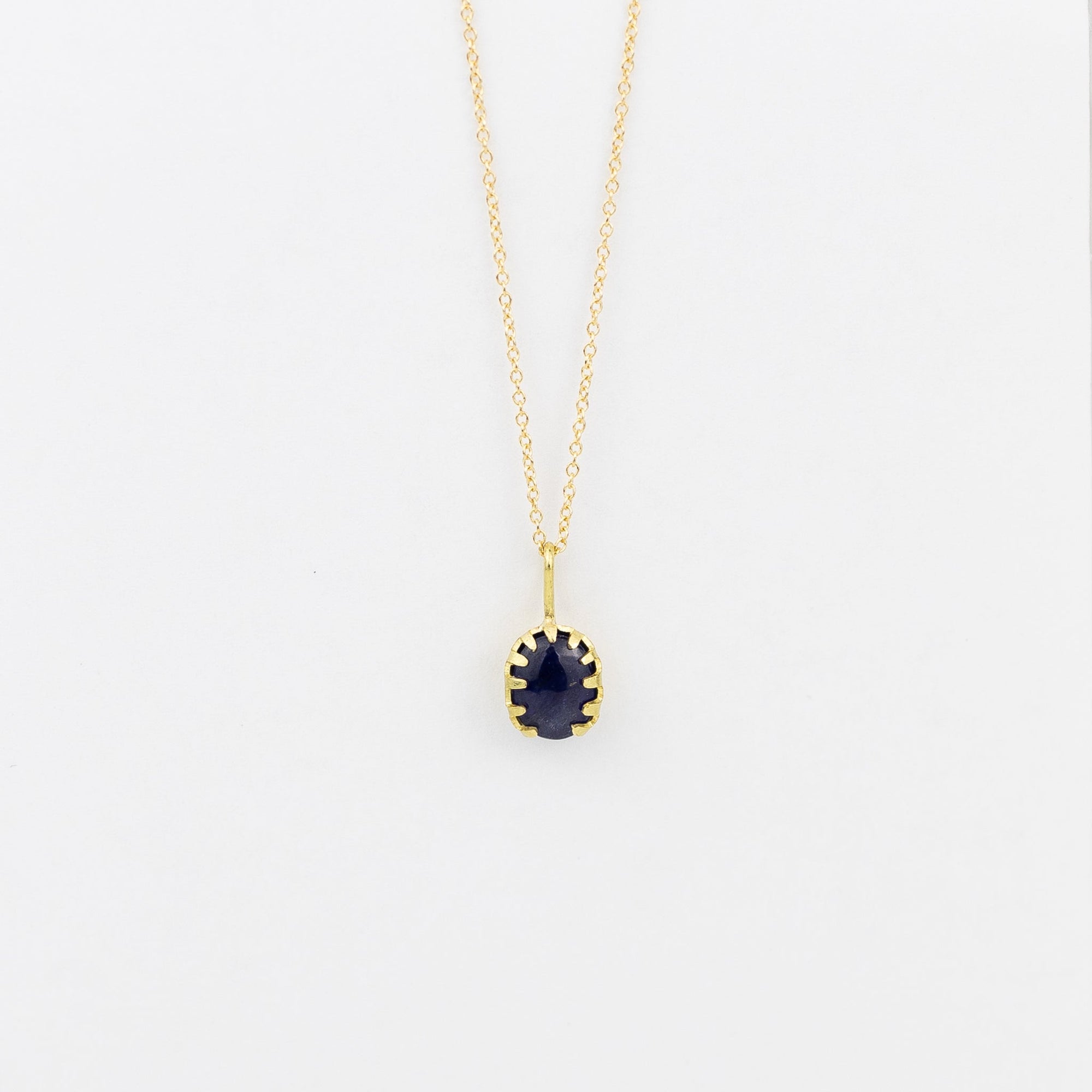 Black Barc 'Doku' Blue Sapphire Necklace | Tortoise General Store