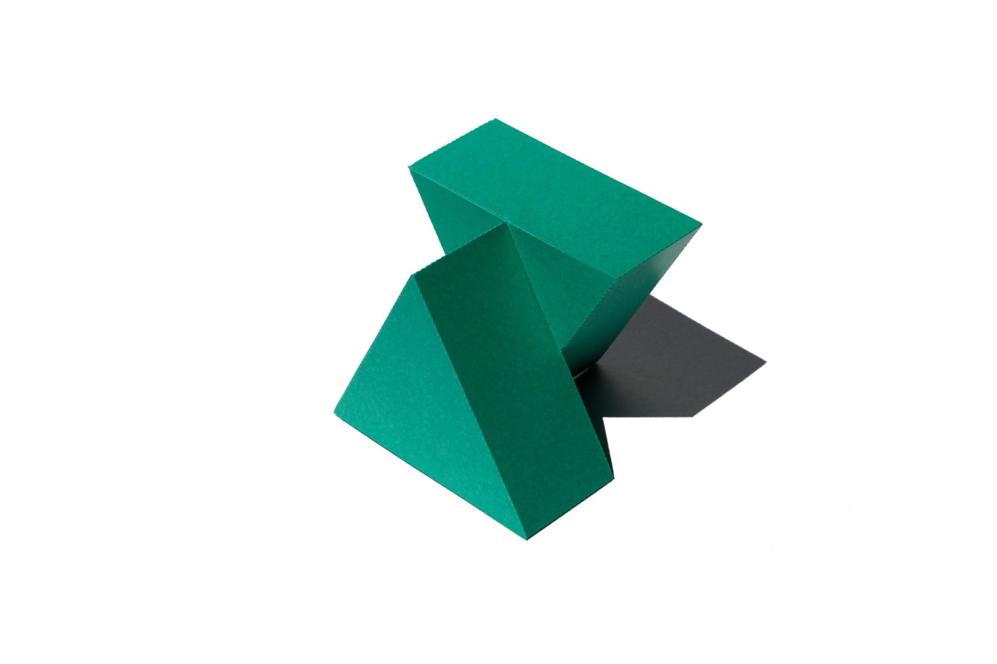 COLOR - 3D Paper Craft | Tortoise General Store