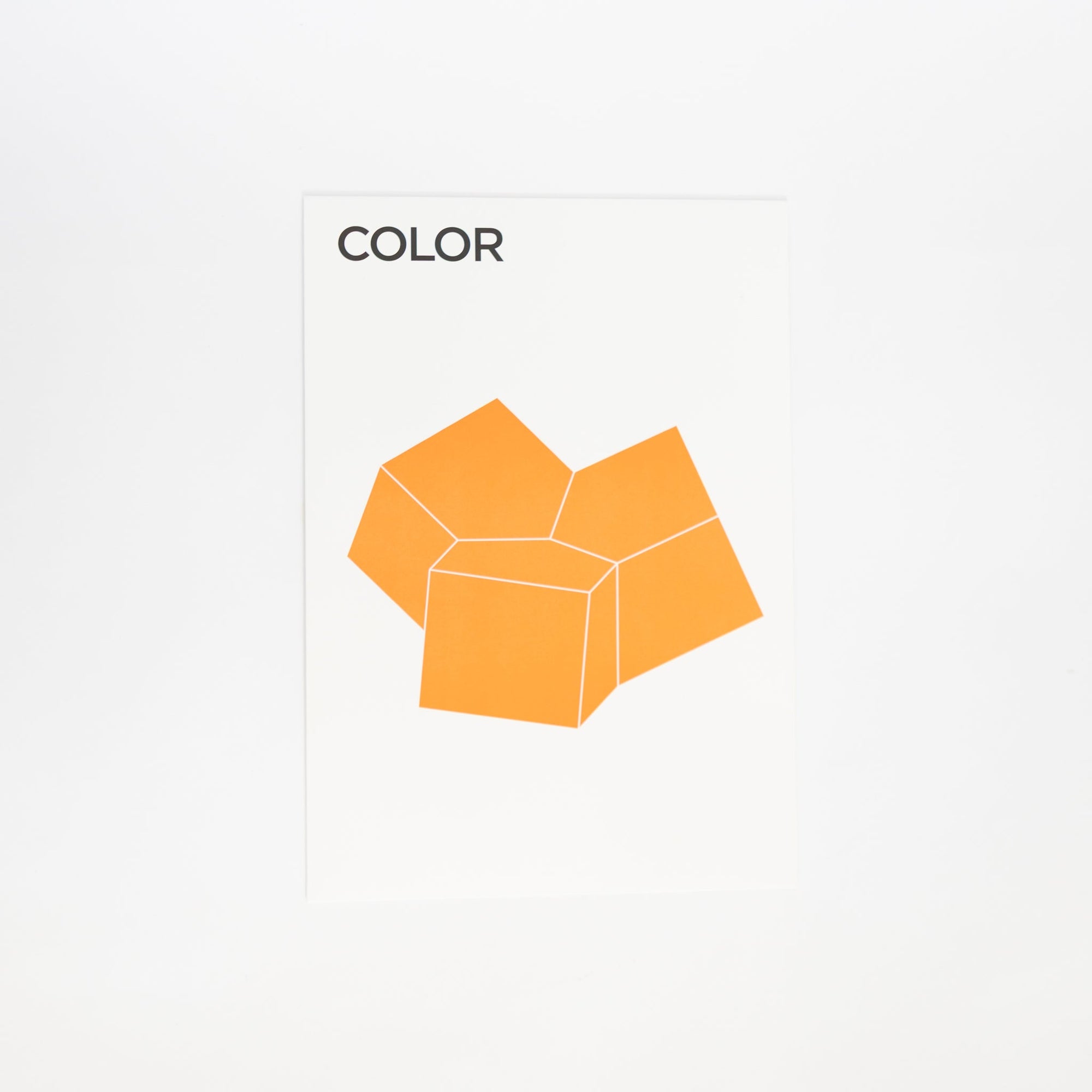 COLOR - 3D Paper Craft | Tortoise General Store