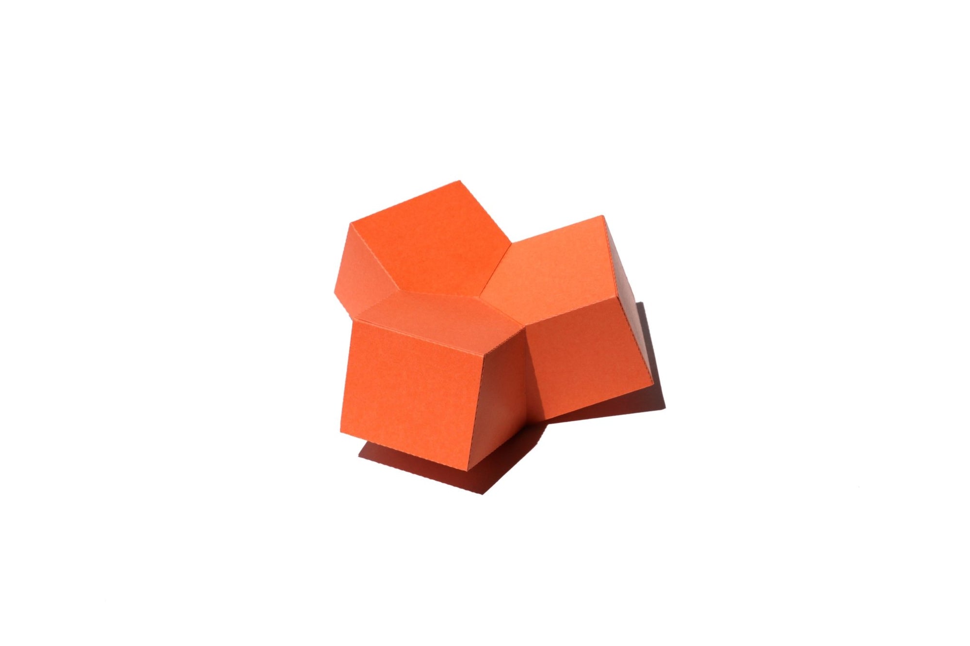 COLOR - 3D Paper Craft | Tortoise General Store