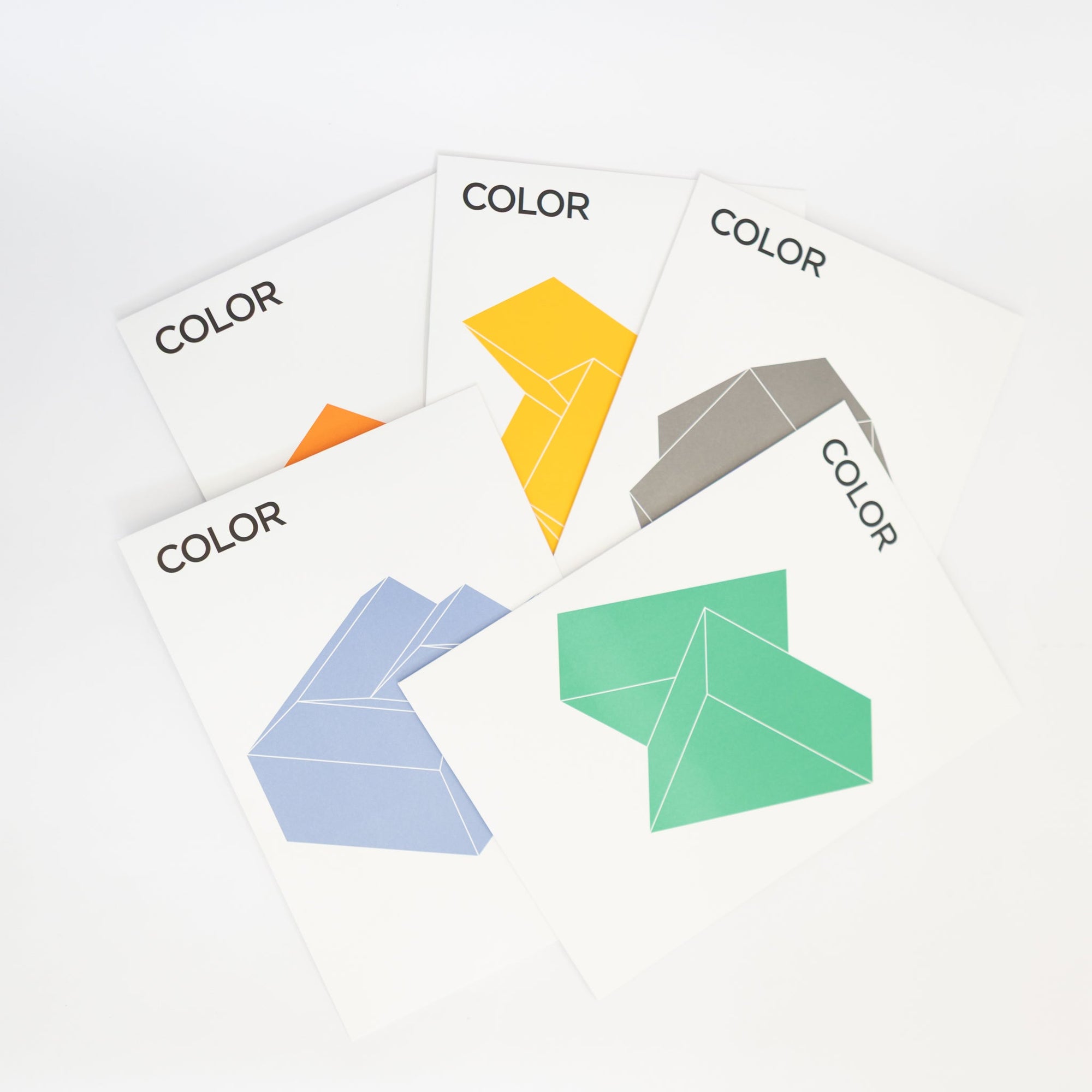 COLOR - 3D Paper Craft | Tortoise General Store