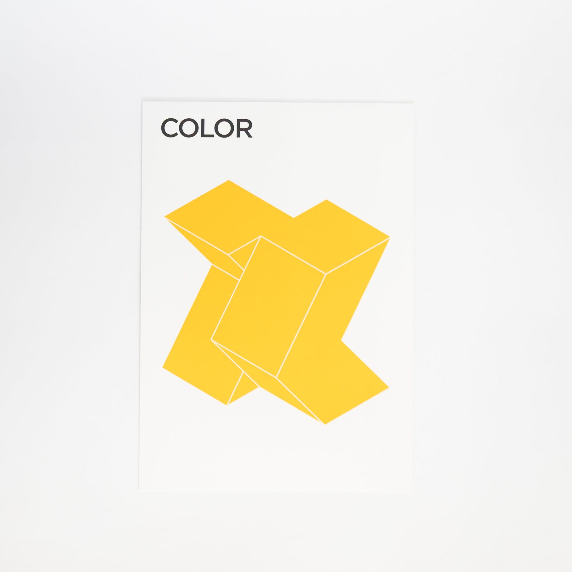 COLOR - 3D Paper Craft | Tortoise General Store