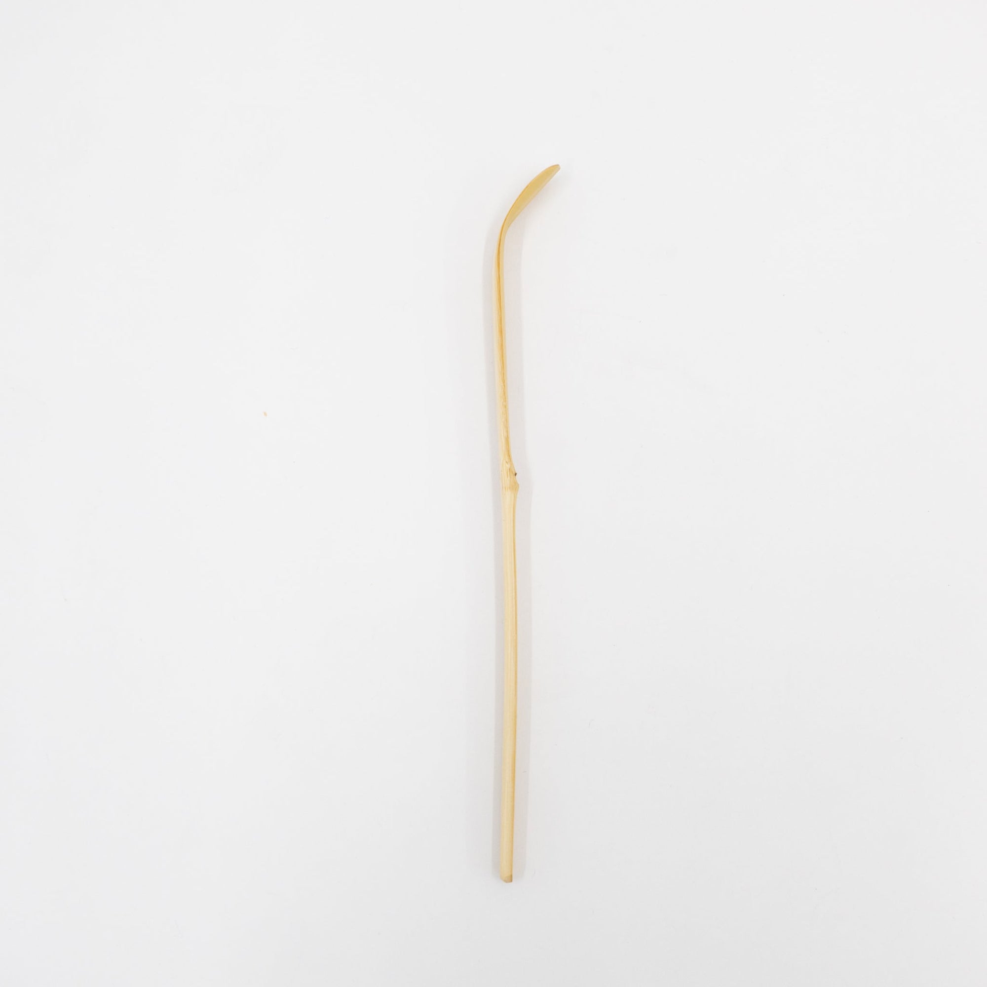 IMA Matcha Scooper | Tortoise General Store