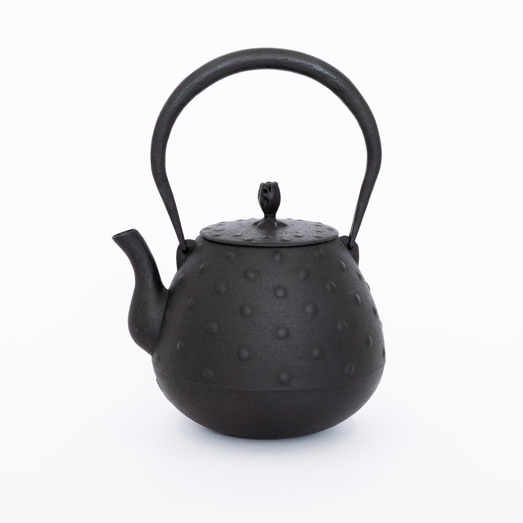Kamasada Iron Kettles | Tortoise General Store