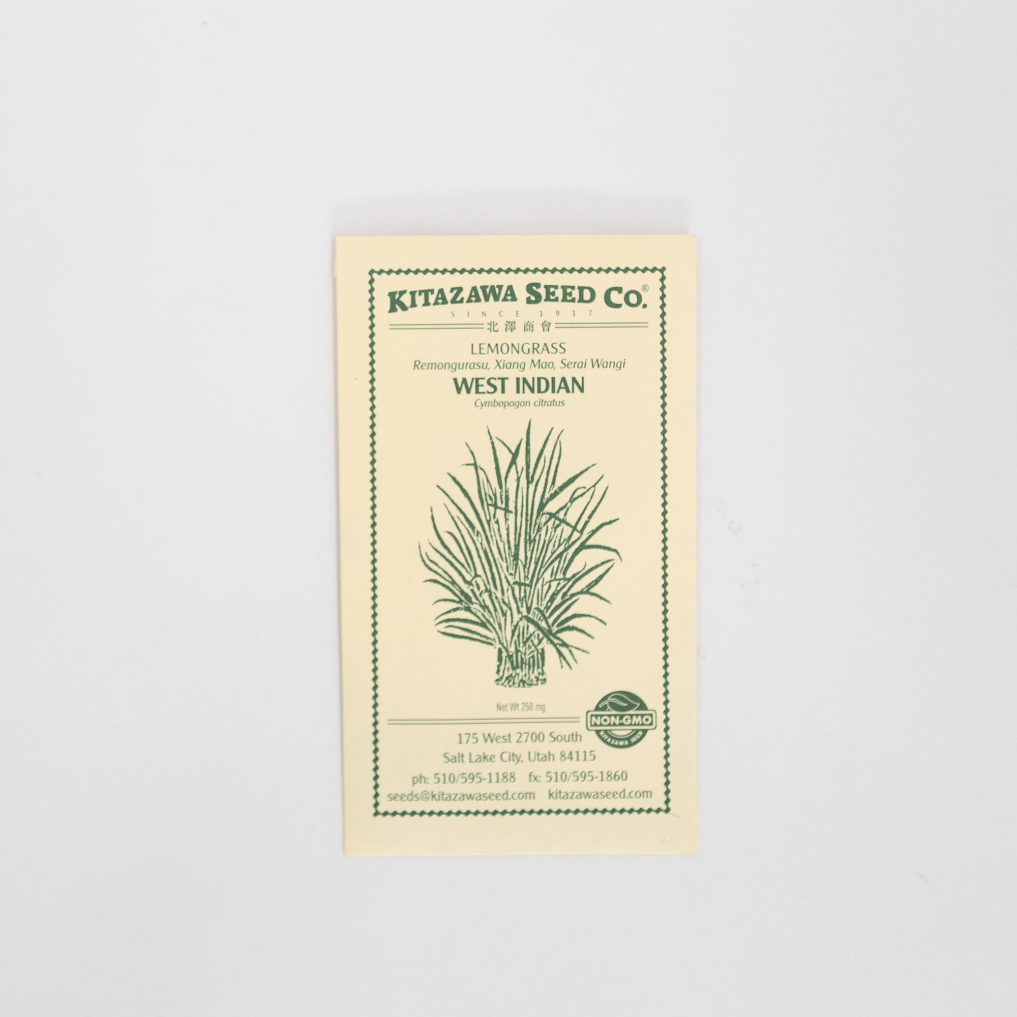 Kitazawa Seeds | Tortoise General Store
