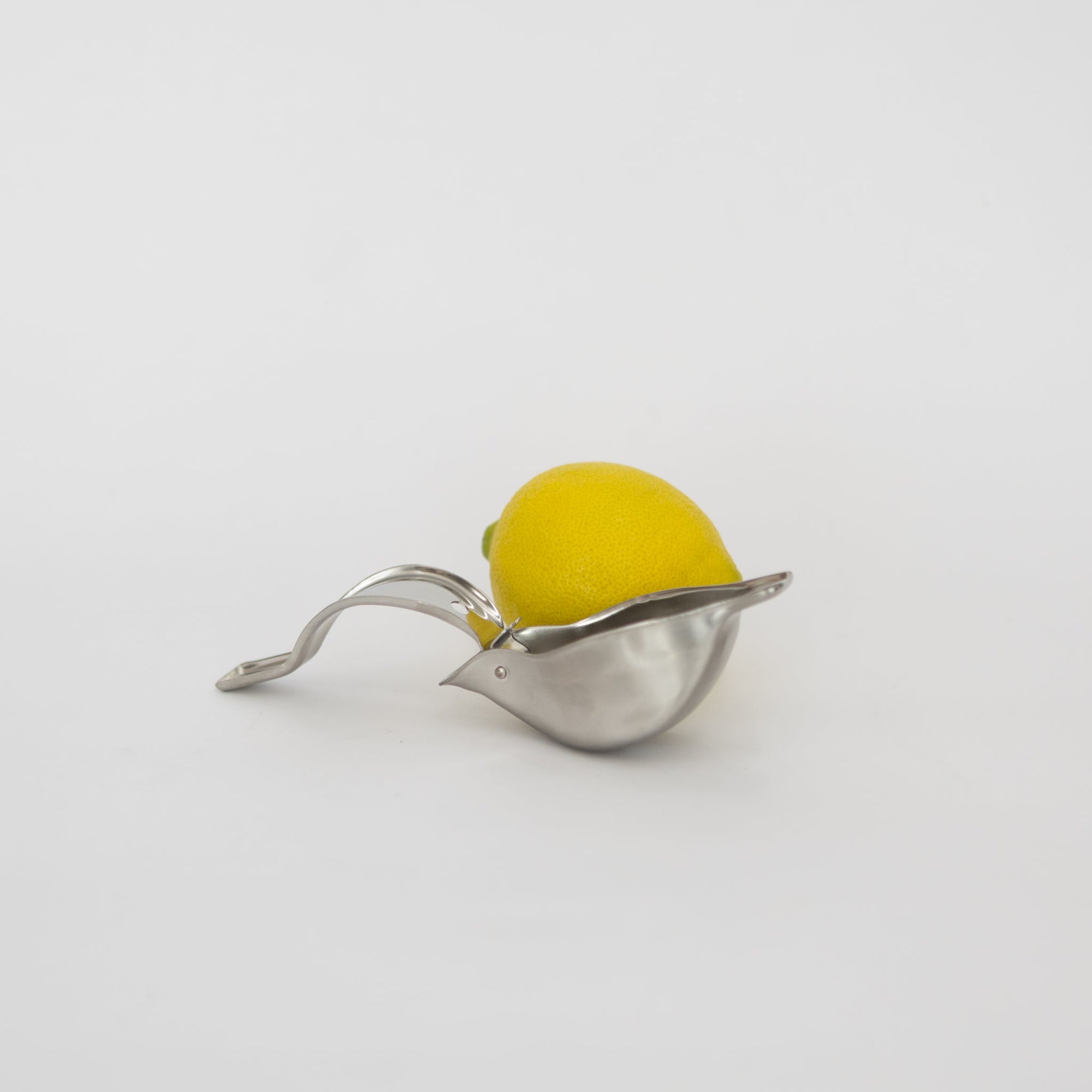 Lemon Squeezer | Tortoise General Store