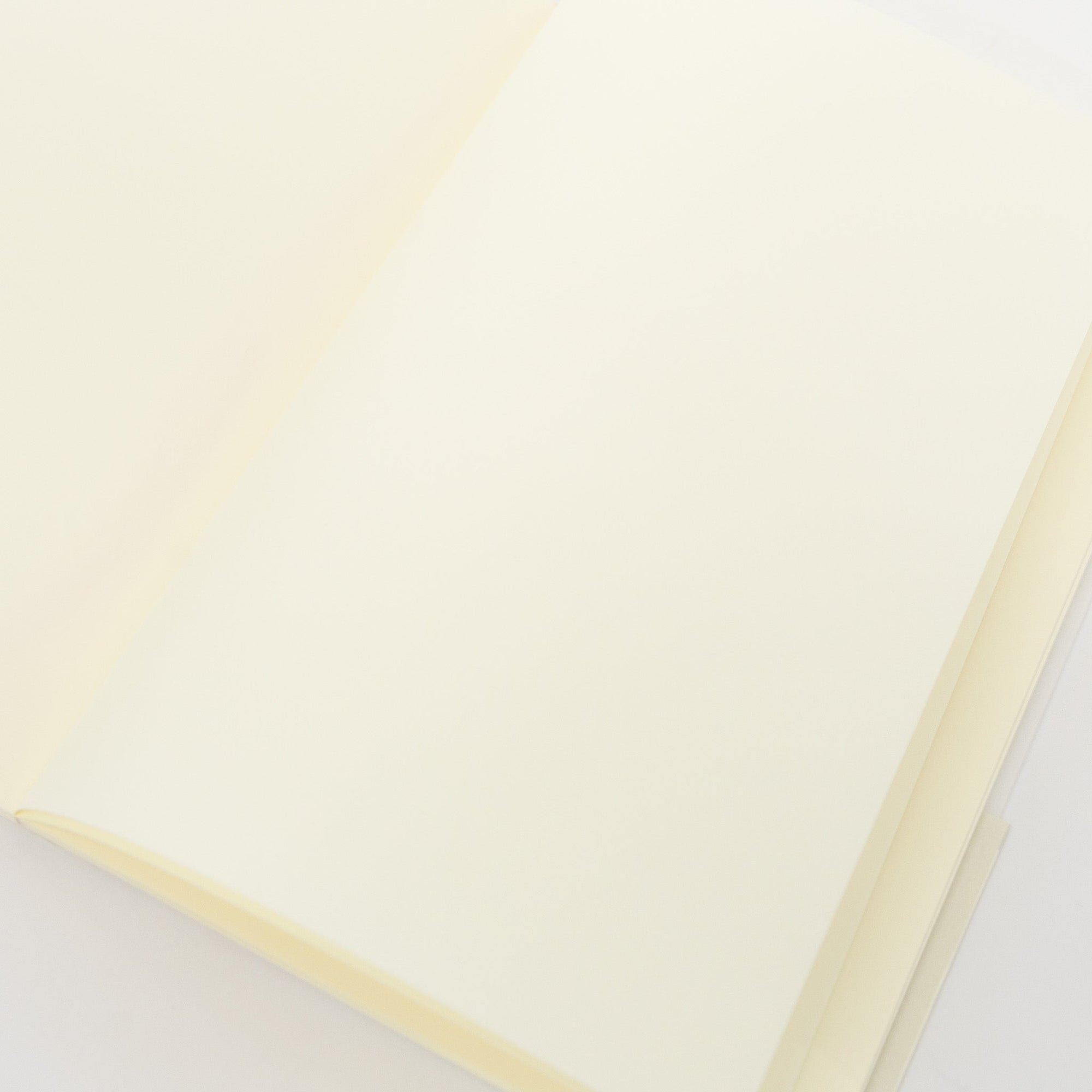 MD Notebook | Tortoise General Store