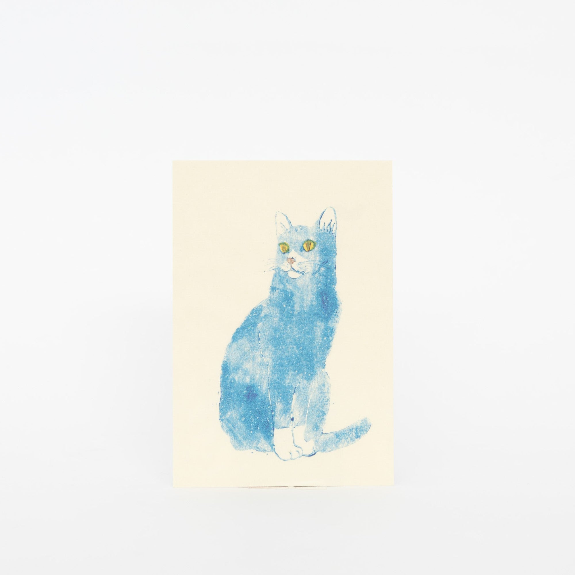 MISUZUDO Post Cards | Tortoise General Store