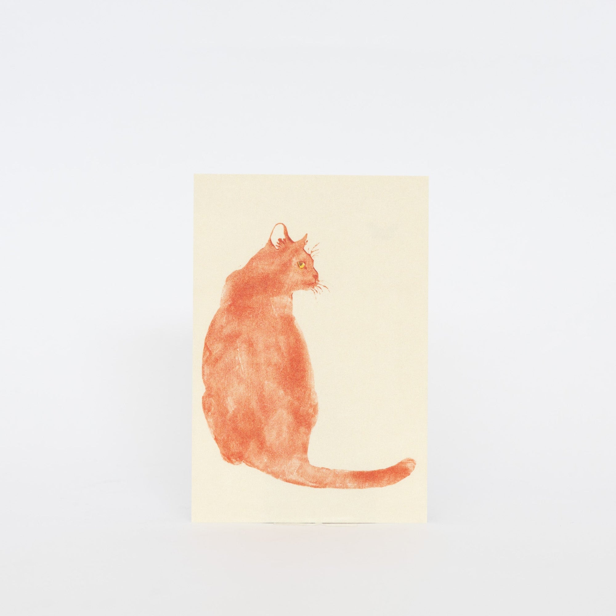 MISUZUDO Post Cards | Tortoise General Store