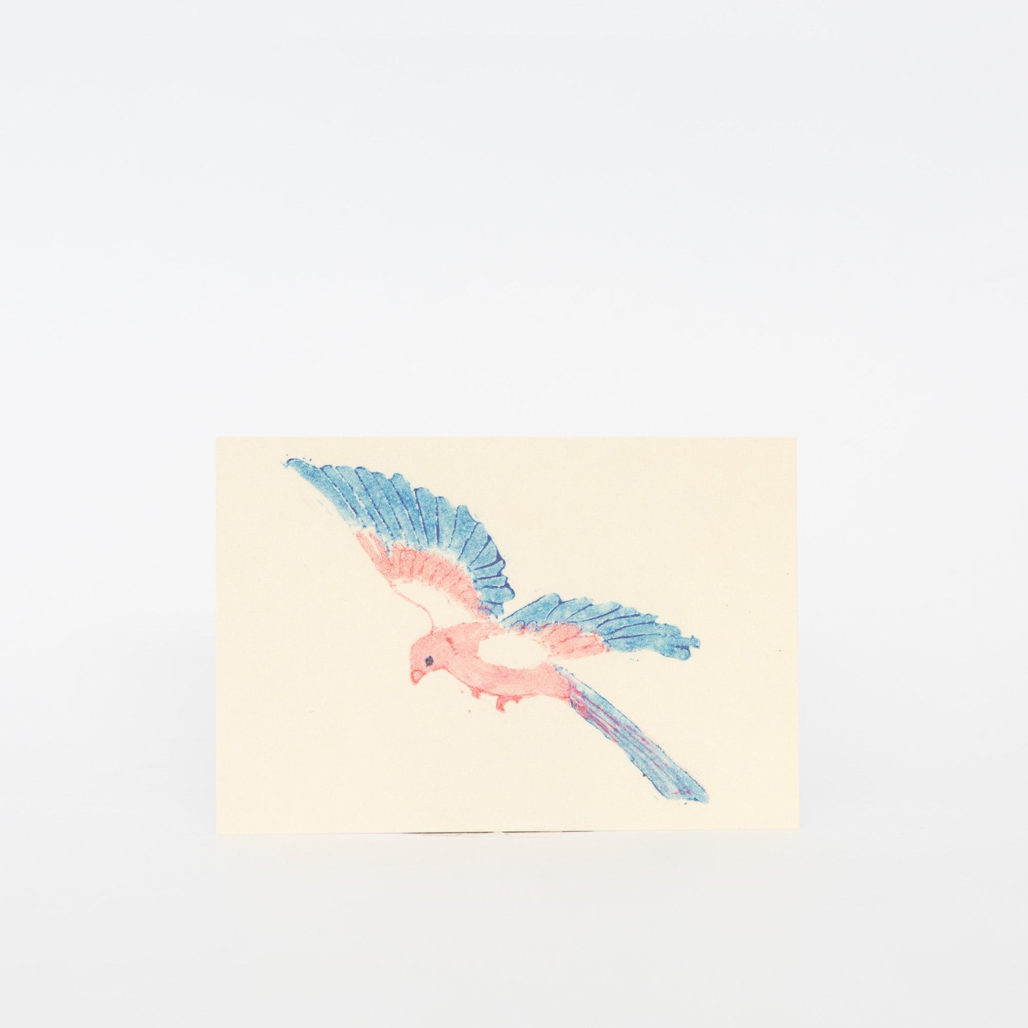 MISUZUDO Post Cards | Tortoise General Store