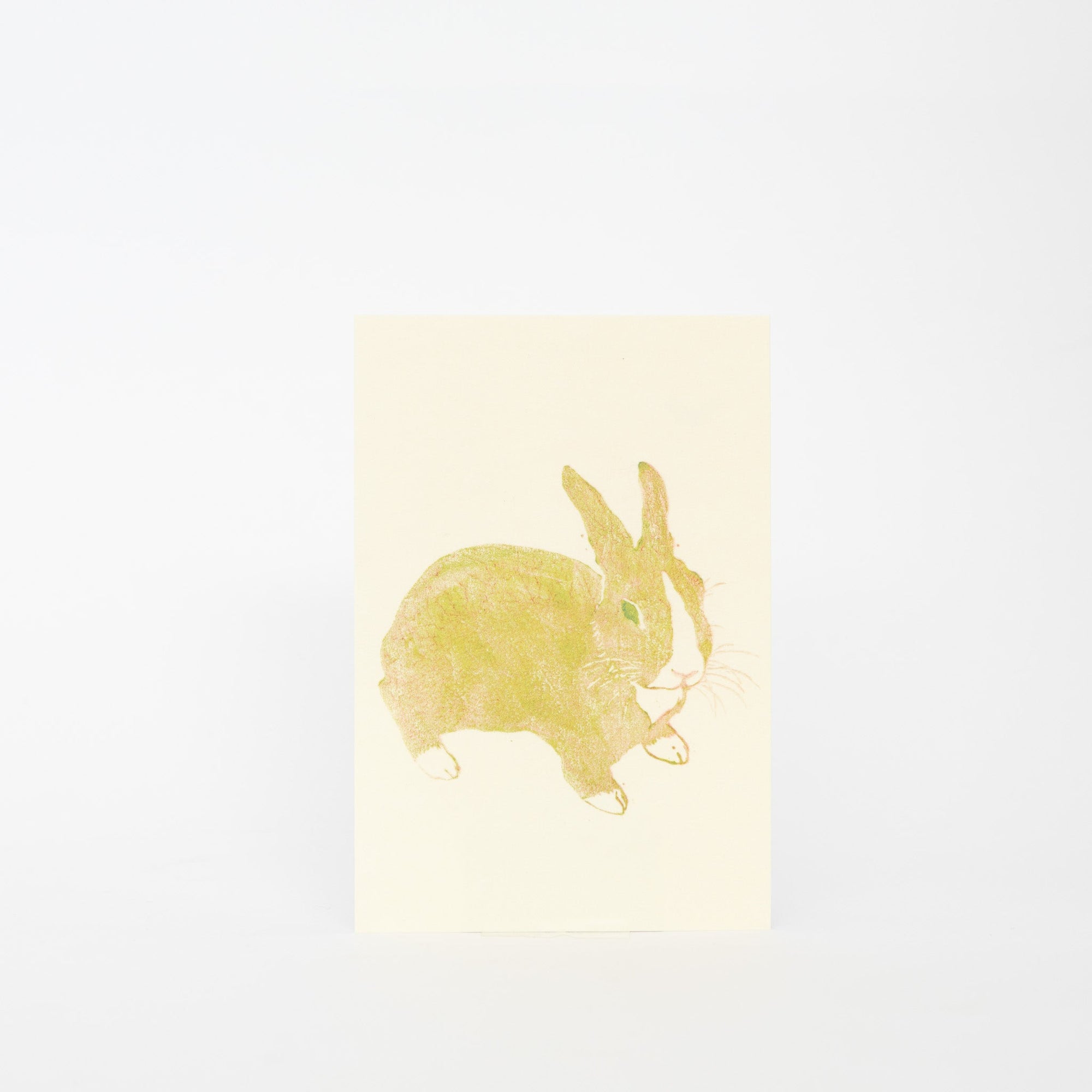 MISUZUDO Post Cards | Tortoise General Store
