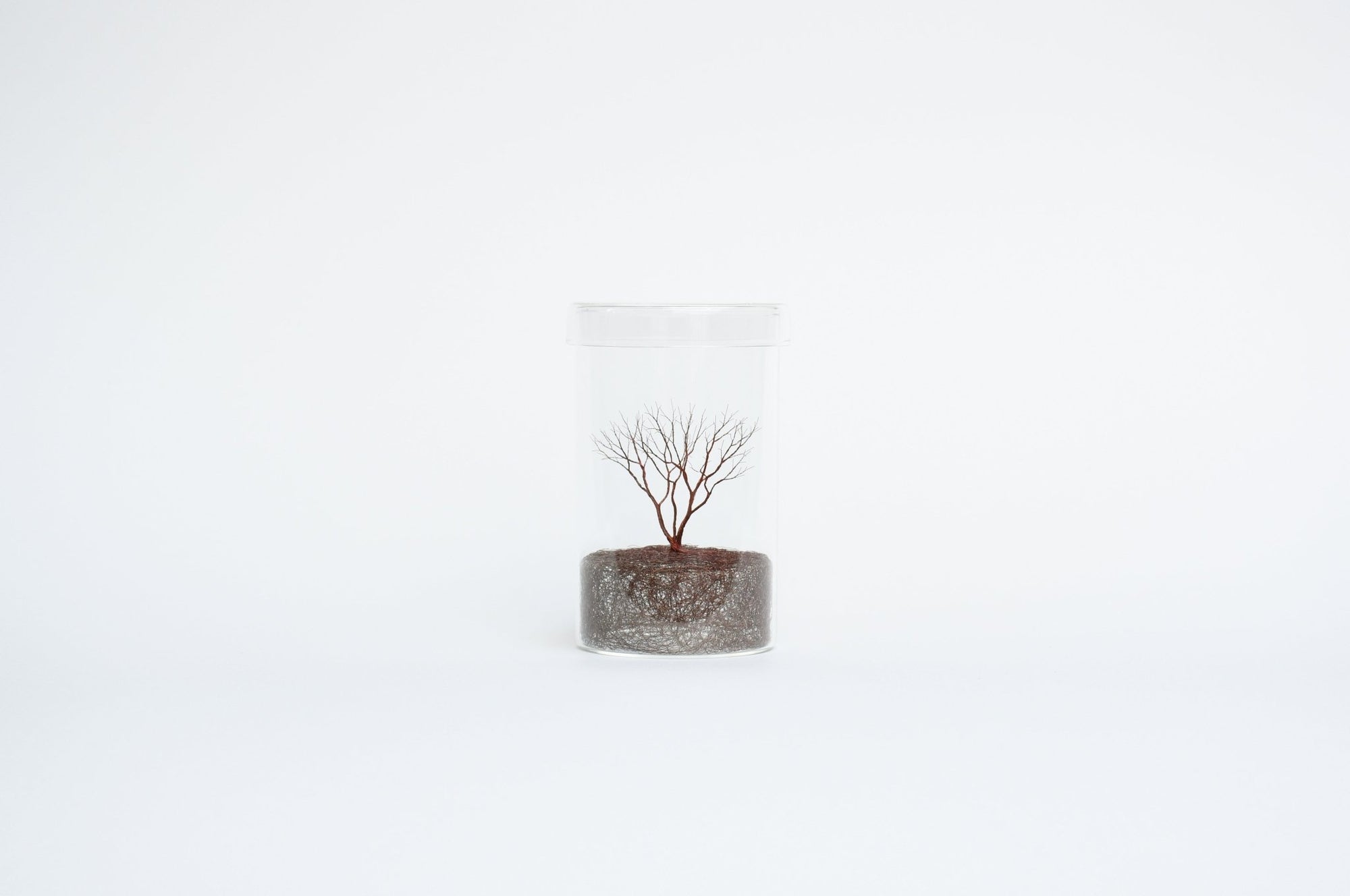 Mitsuru Koga Copper Wire Trees | Tortoise General Store