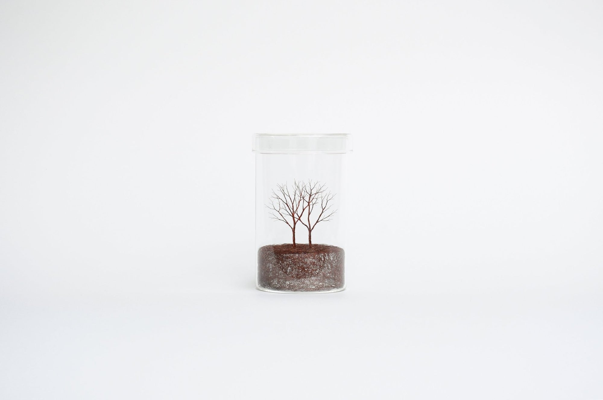 Mitsuru Koga Copper Wire Trees | Tortoise General Store