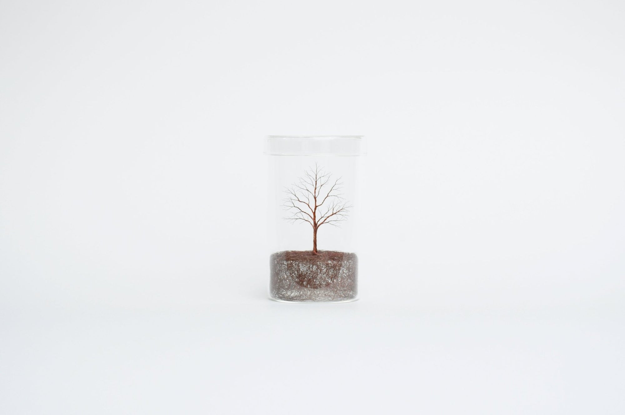 Mitsuru Koga Copper Wire Trees | Tortoise General Store