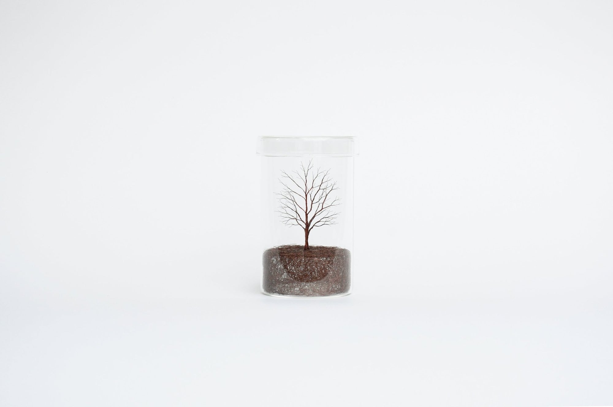 Mitsuru Koga Copper Wire Trees | Tortoise General Store