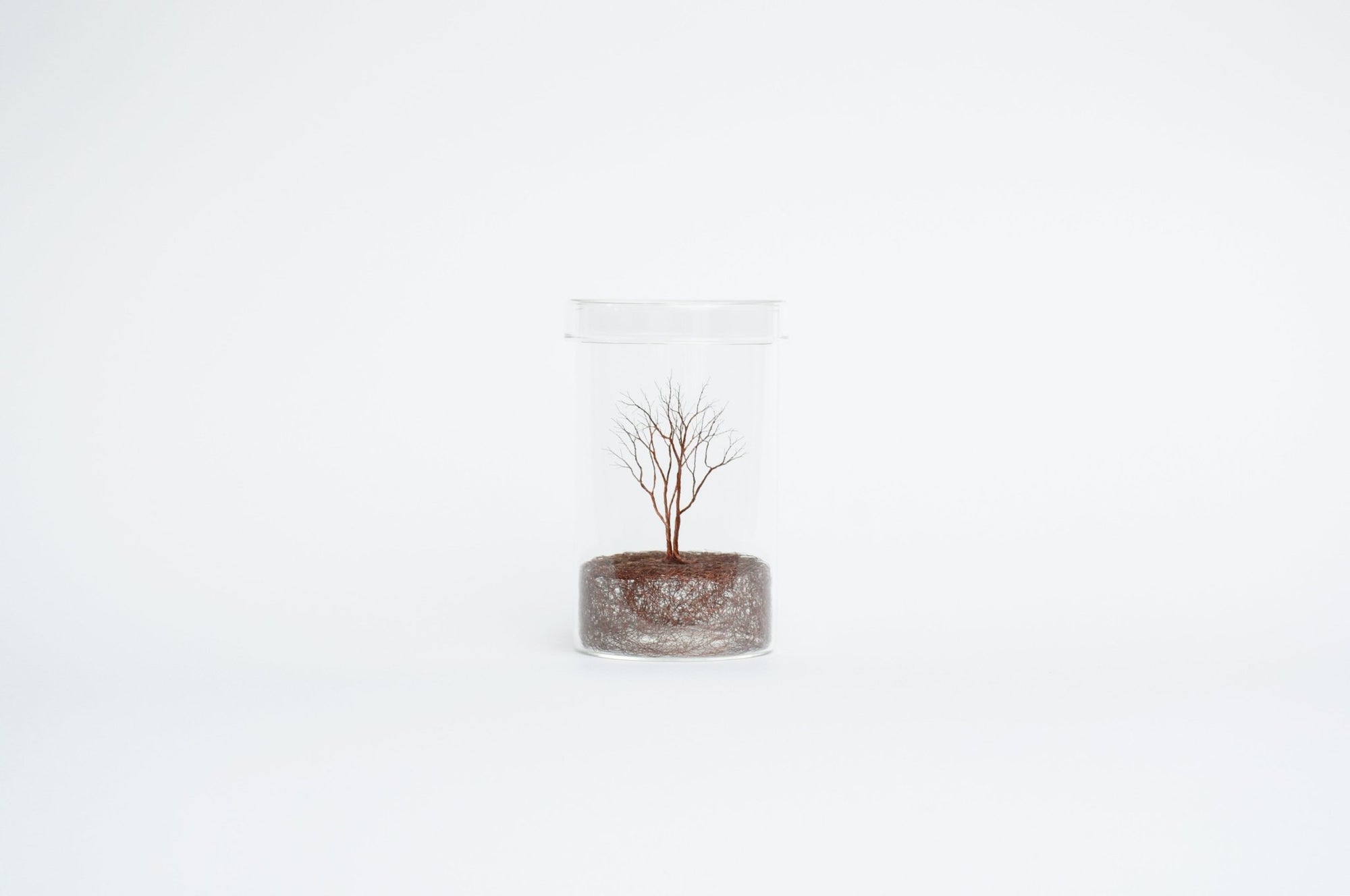 Mitsuru Koga Copper Wire Trees | Tortoise General Store