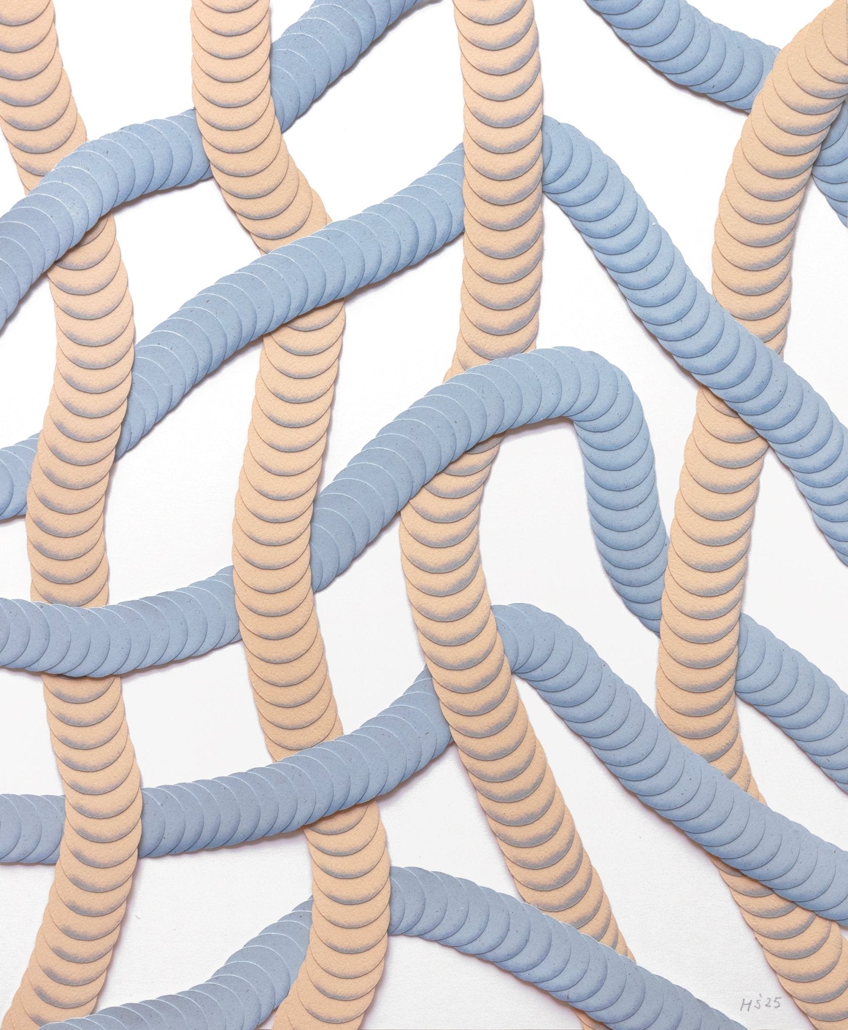 No. 54 by Haneno Suzuki | Tortoise General Store